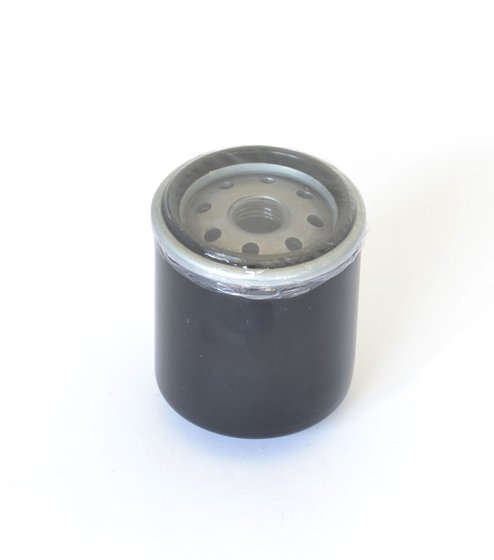 RUNNER 125 4T (1999 - 2013) oil filter | ATHENA