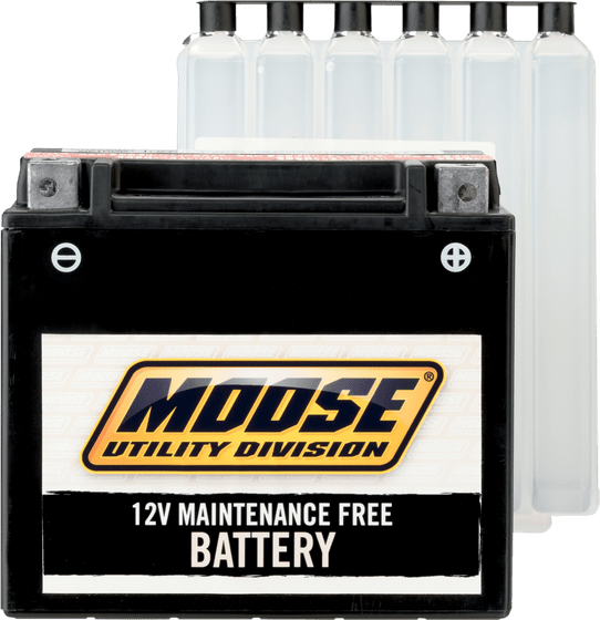 GT 650 R (2009 - 2009) mud battery ytx14-bs | MOOSE UTILITY DIVISION