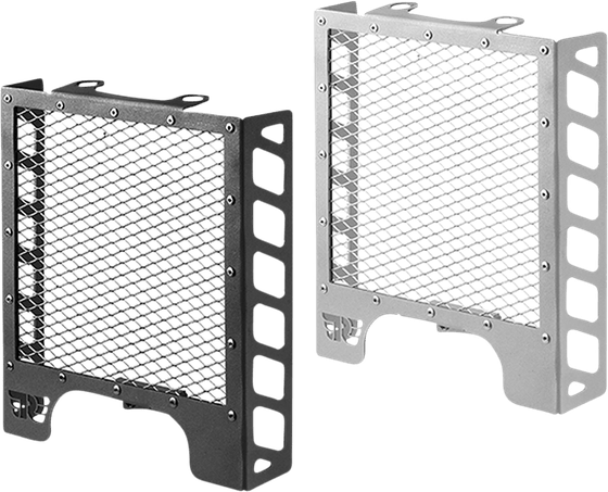 INTERCEPTOR 650 (2019 - 2021) radiator guard s | C-RACER