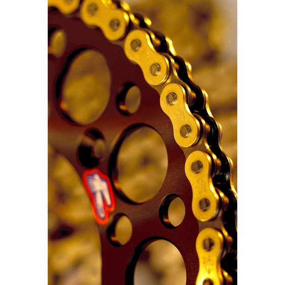 MC 50 (2021 - 2023) r1 works chain 415x112 | RENTHAL