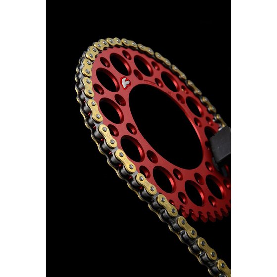 MC 50 (2021 - 2023) r1 works chain 415x112 | RENTHAL