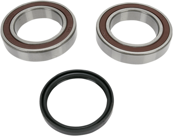 SUMMIT 800 (2008 - 2020) lower-track drive shaft bearings and seals kit | All Balls