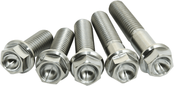 250 SEF (2014 - 2022) titanium bolt pack of 4 (m8x25) | SCAR