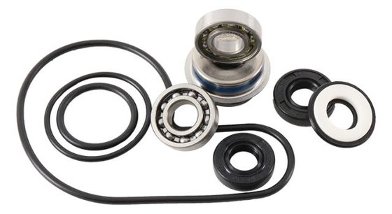 400 DVX (2004 - 2004) water pump kit | Hot Rods