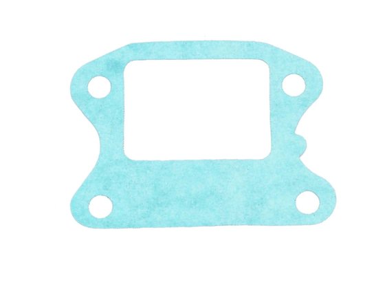 VIVACITY 100 (1999 - 2006) reed valve gasket | 101 OCTANE