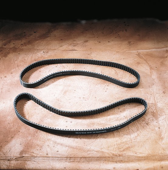 1200 M2 CYCLONE (1997 - 2002) panther rear drive belt | PANTHER