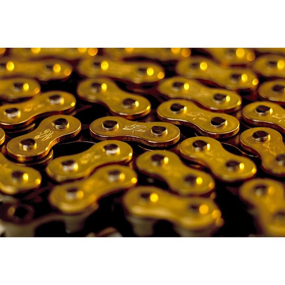 300 (2001 - 2013) r1 works chain - 520x120 | RENTHAL