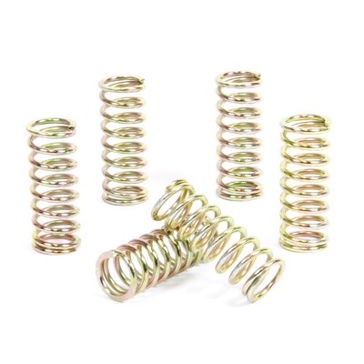 EC 300 RACING (2008 - 2015) clutch spring kit | ProX