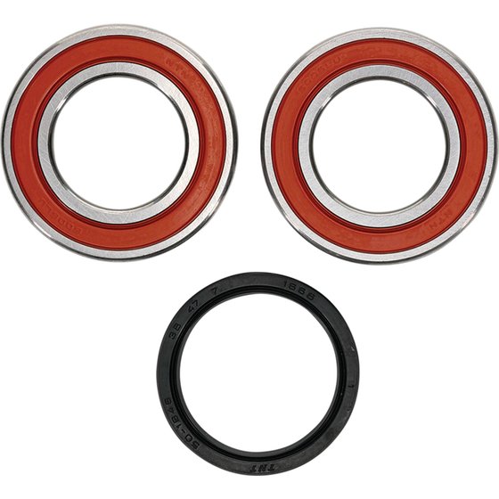 300 DVX (2010 - 2016) wheel bearing kit rear | All Balls