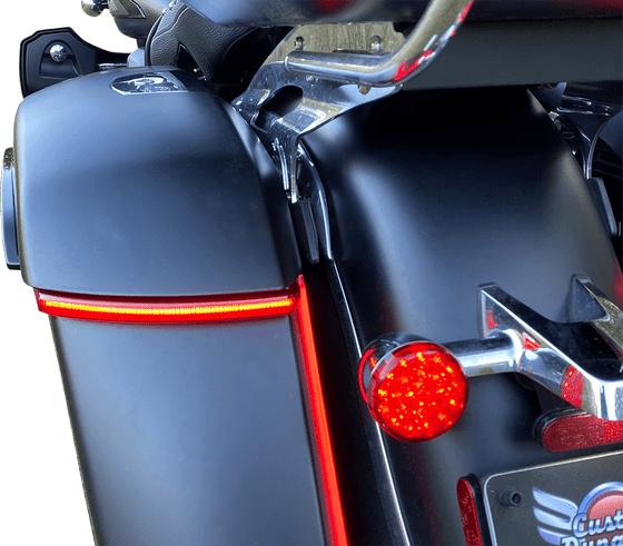 CHIEFTAIN 1890 DARK HORSE (2020 - 2022) red license plate light | CUSTOM DYNAMICS