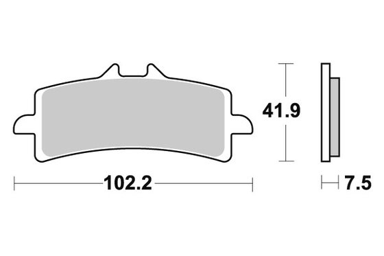 RUSH 1000 (2020 - 2020) sbs brakepads dual sinter | SBS