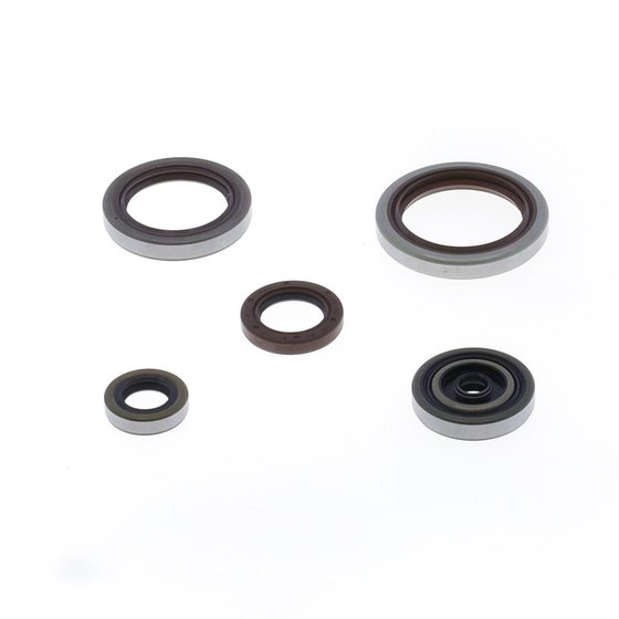 RR 300 (2013 - 2022) set of engine seals | ATHENA