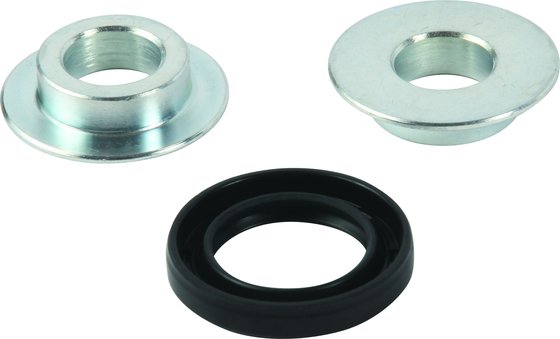 RR 300 (2013 - 2022) lower rear shock bearing kit | All Balls