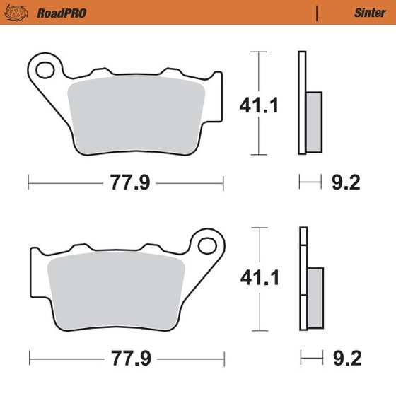 EURO 350 (1999 - 2006) sintered rear brake pad | MOTO-MASTER