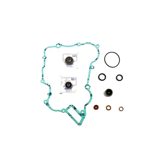 TE 125 (2012 - 2016) water pump gasket kit | ATHENA