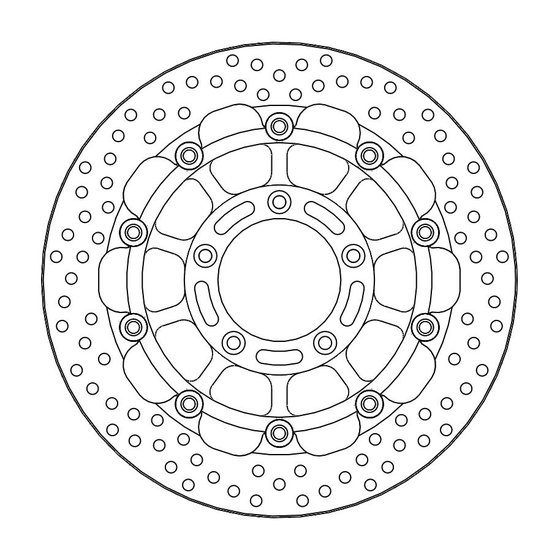 F4 1000 (2007 - 2019) moto-master prof. halo brakedisc front mv agusta: f4 (t-floater 320x6.0x31mm) | MOTO-MASTER