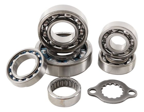 400 DVX (2004 - 2008) transmission bearing kit | Hot Rods