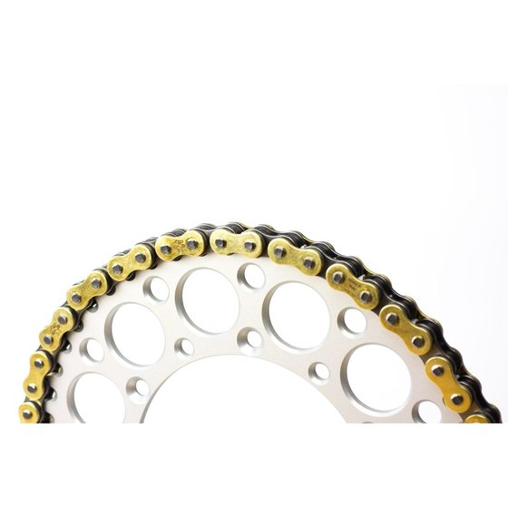 SE R 300 (2012 - 2013) 520x116 drive chain | RENTHAL