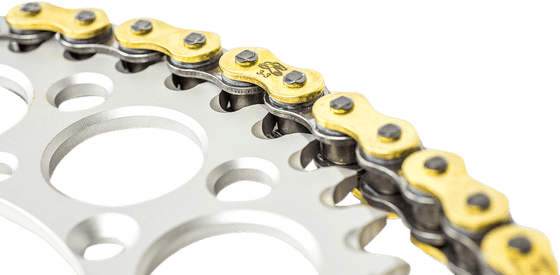 SE R 300 (2012 - 2013) 520x116 drive chain | RENTHAL