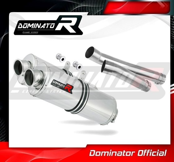 1000 S (2004 - 2007) exhaust silencer oval | Dominator