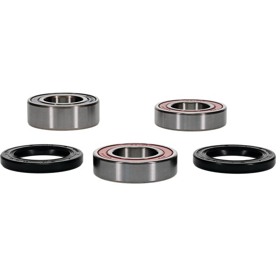 SX 2.5 F (2010 - 2010) wheel bearing kit rear | All Balls