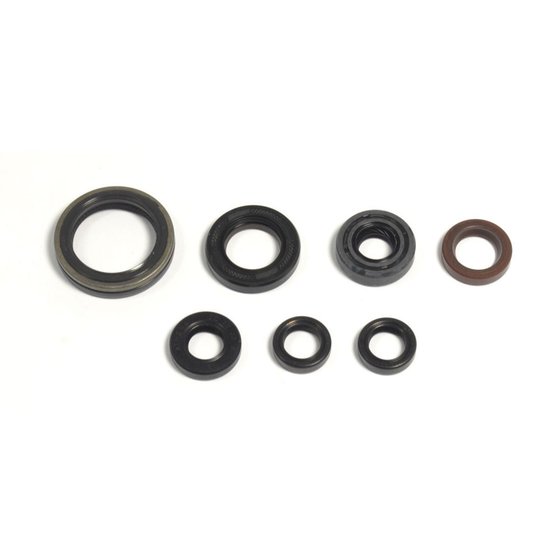 EC 300 F RACING 4T (2013 - 2015) engine oil seals kit | ATHENA