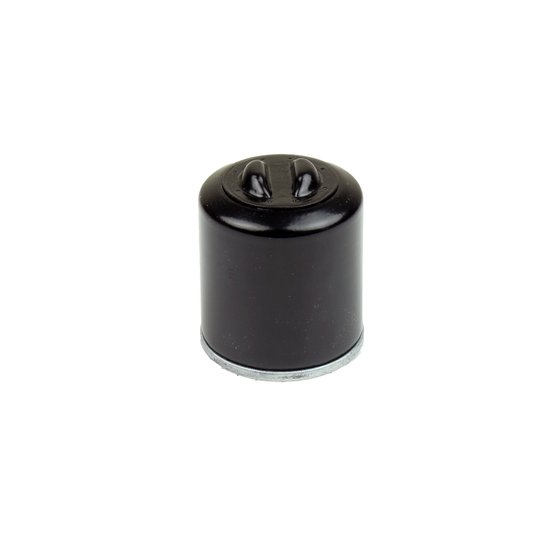 RUNNER 125 4T (1999 - 2013) oil filter | ATHENA