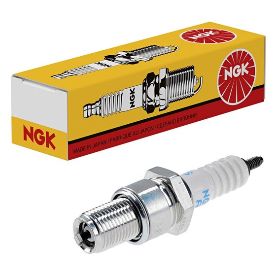 MXZ 800 (2004 - 2017) ngk br9ecs spark plug | NGK