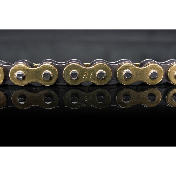 SE R 300 (2012 - 2013) r1 works 520x116 chain | RENTHAL