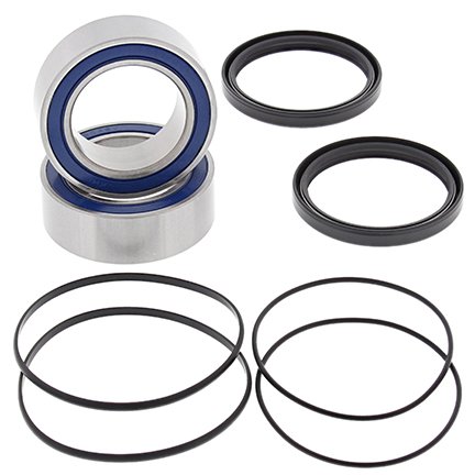 450 WILD HP (2003 - 2008) hp rear carrier bearing kit fits dual row carrier | All Balls