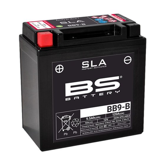 RAPTOR 125 (2003 - 2010) sla battery 12v 115a | BS BATTERY