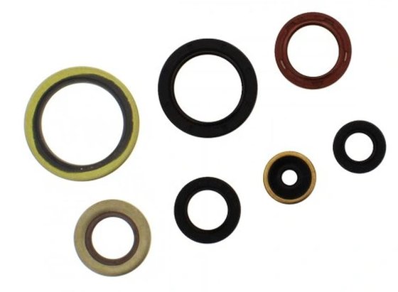 EC 250 2T (2021 - 2023) oil seal set | ATHENA