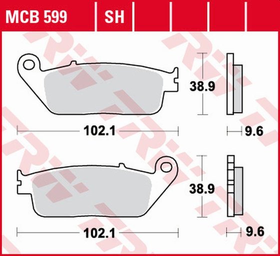 GUNNER (2015 - 2017) sintered metal brake pad | TRW