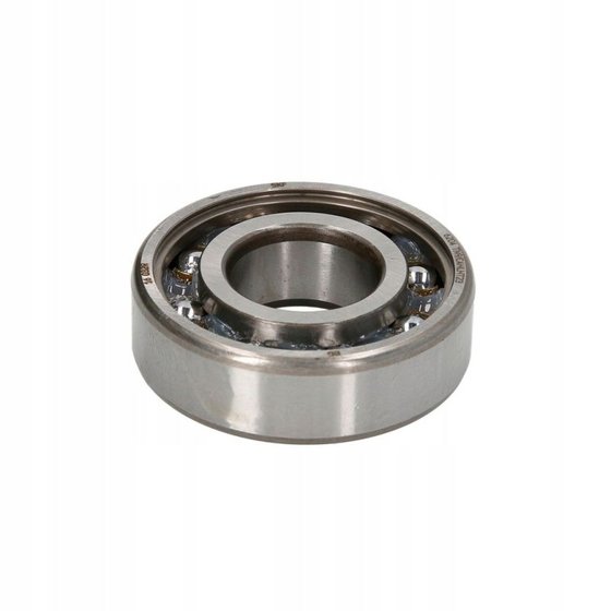 50 EVOLIS (1992 - 1996) wheel bearing 6204tn9/c4hlht23 | ATHENA