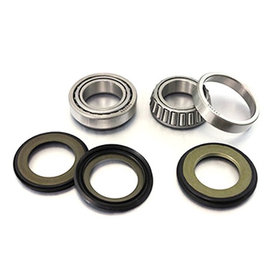 TE 250 (2011 - 2014) frame head bearings with seals | BEARING WORX