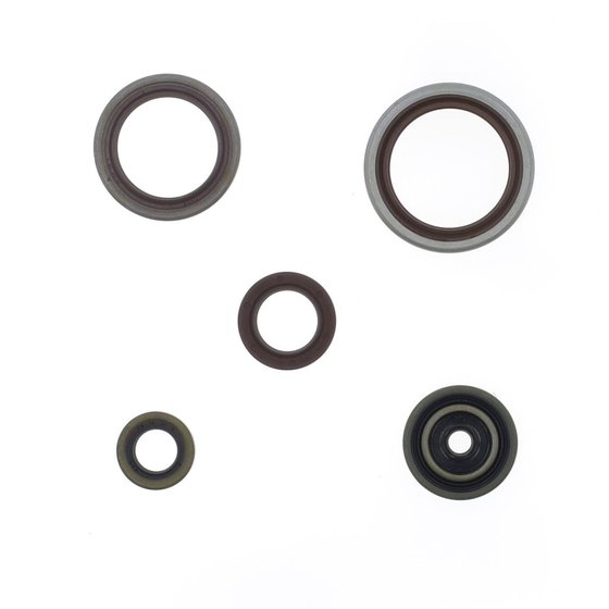 RR 300 (2013 - 2022) set of engine seals | ATHENA