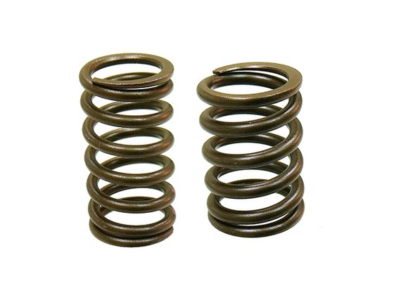 RR 450 (2005 - 2015) valve spring | NACHMAN