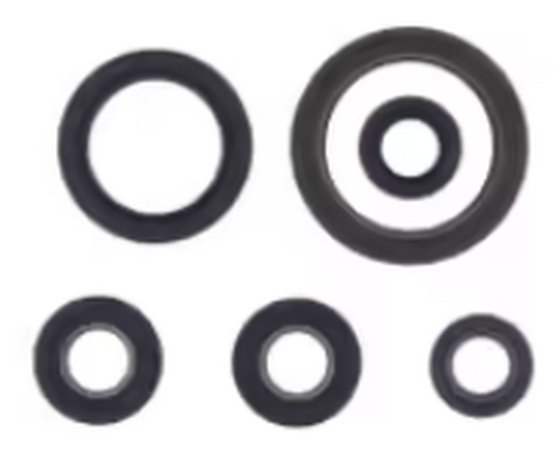 EC 250 F 4T (2021 - 2023) gasket kit oil seal | ATHENA