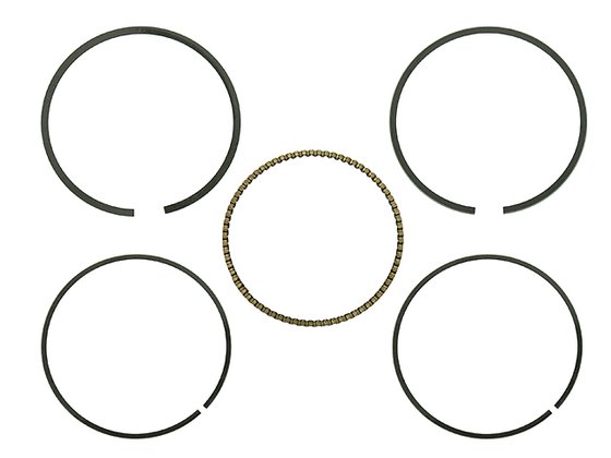 300 DVX (2009 - 2017) piston rings | NAMURA