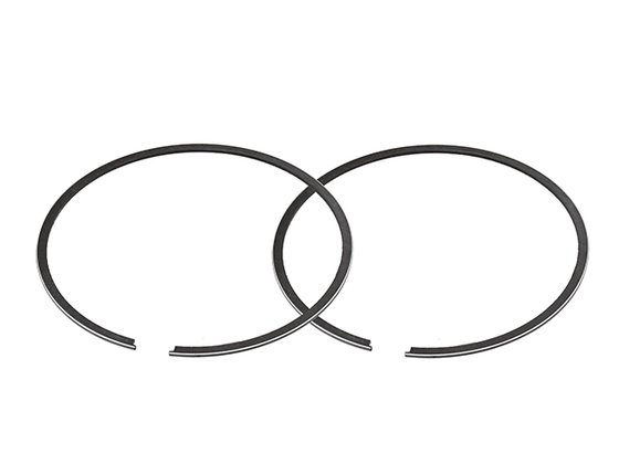 TE 300 (2011 - 2014) piston rings | NAMURA