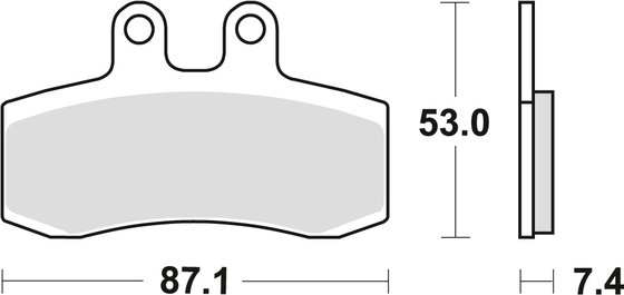 660 BAGHIRA (2000 - 2010) stabdžių trinkelės | TRW