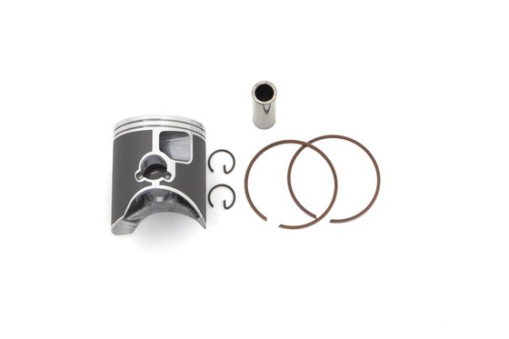 RR 300 (2018 - 2021) cast replica piston kit | Vertex