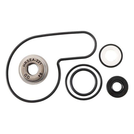 400 DVX (2005 - 2008) water pump kit | Hot Rods