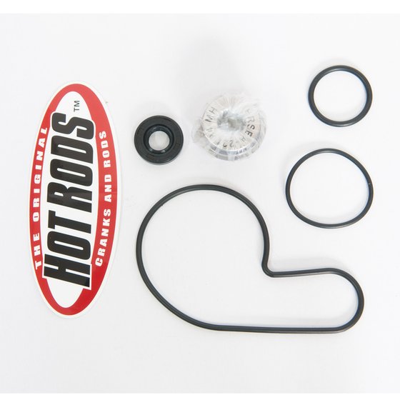 400 DVX (2005 - 2008) water pump kit | Hot Rods