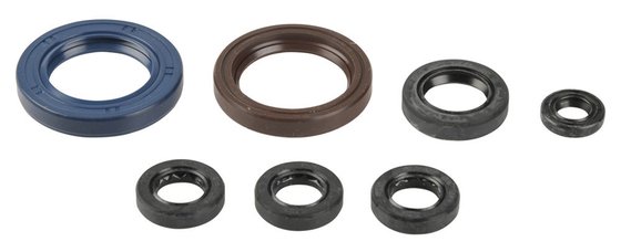 RR 400  ENDURO 4T (2005 - 2009) engine oil seals kit | ATHENA