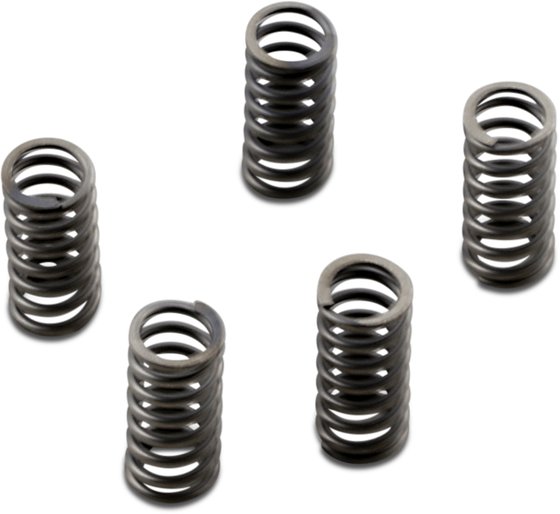 CHIEFTAIN LIMITED (2017 - 2018) csk series heavy duty clutch spring kits | EBC