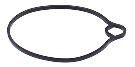 ALTERRA 90 (2017 - 2021) float bowl gasket only closed course racing only | All Balls