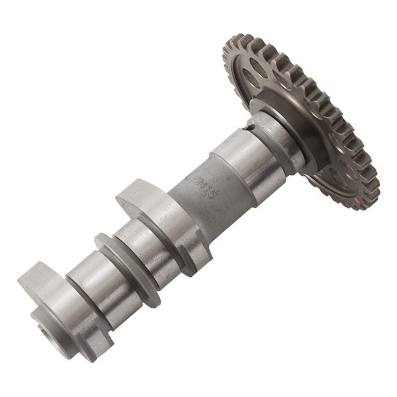 400 DVX (2004 - 2008) camshaft | Hot Cams