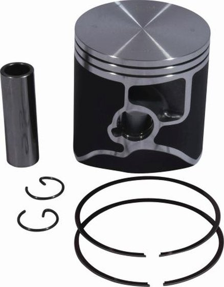 RR 300 (2018 - 2021) cast replica piston kit | Vertex