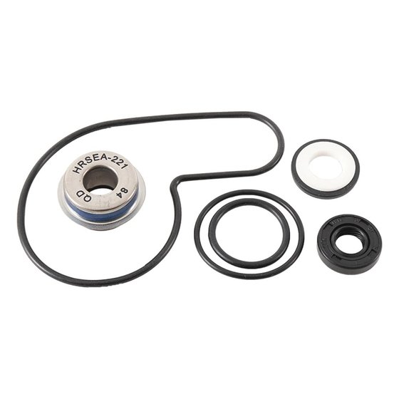 400 DVX (2005 - 2008) water pump kit | Hot Rods